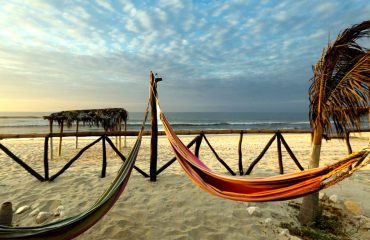 5e60f536-lm-61196-167c7f55462